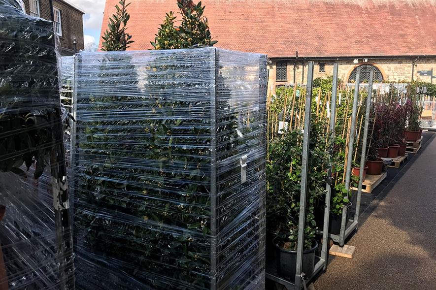 Plant trade