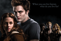 Twilight: new box office hit