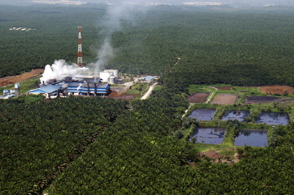 Environmental impact: Sumatran palm oil factory
