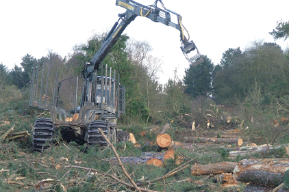 APP: denies deforestation claims