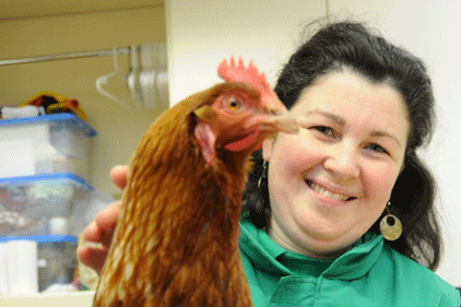 Knitting: campaign to keep hens warm