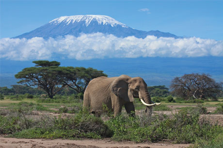 Kenya: Seeking to boost tourism with agency roster