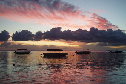 Hills Balfour Synergy to promote: Mauritius