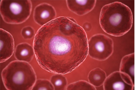 Stem cell: Research breakthrough (thinkstock)