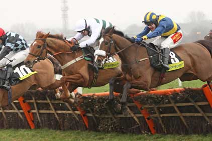 Newbury: jumps up to the mark