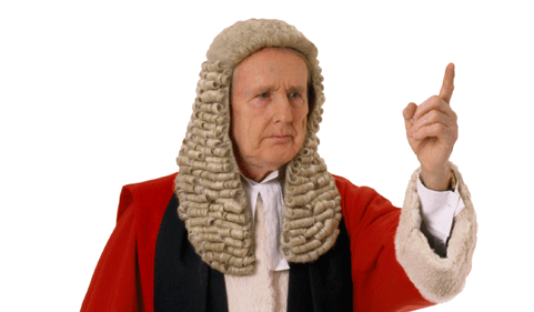 Court on camera: Judges in the frame