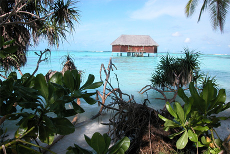 Controversy: Maldives tourism brief