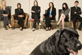 Man Bites Dog: top award winners