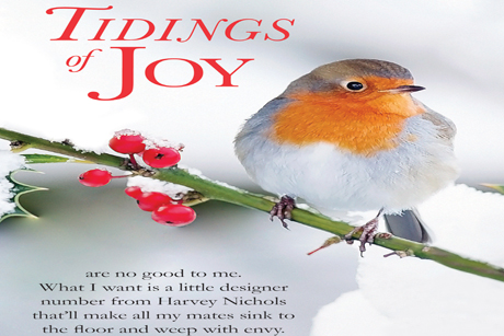 Christmas joy, Harvey Nichols style