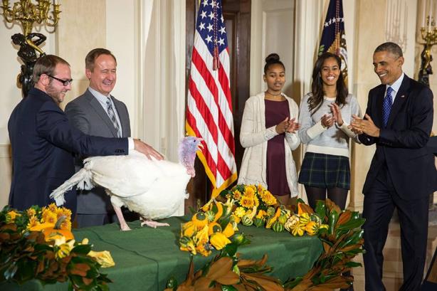 The first daughters at last week's annual "turkey pardoning" ceremony