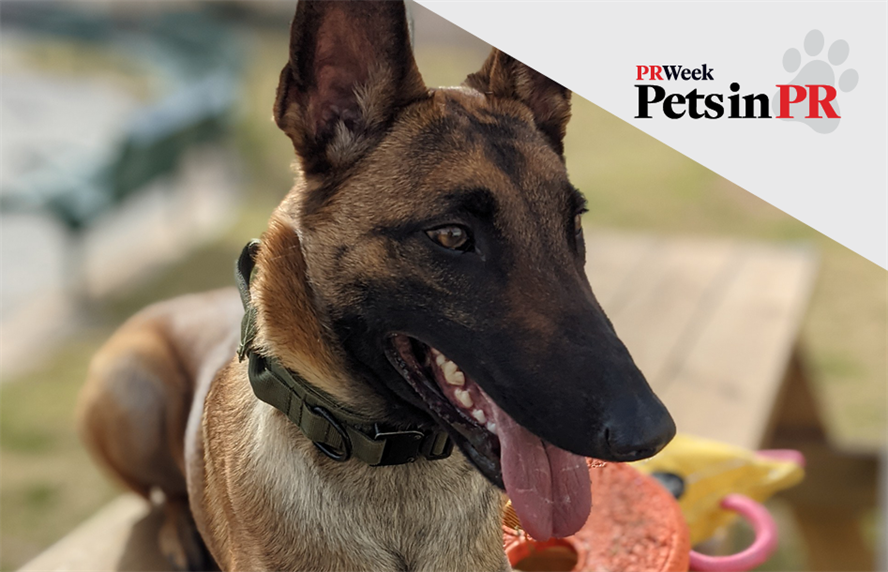 Pets in PR: Maggie the dog