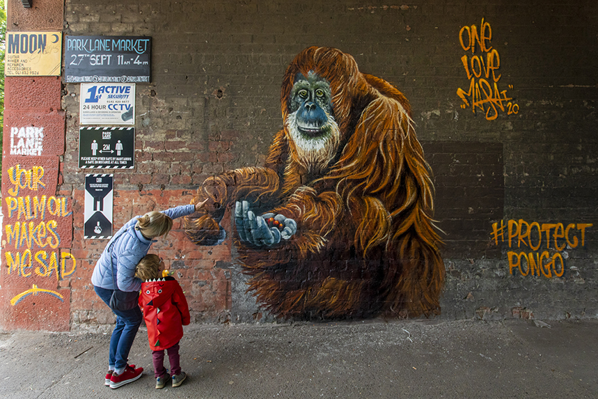 Protect Pongo murals are popping up in UK cities to highlight the plight of endangered orangutans