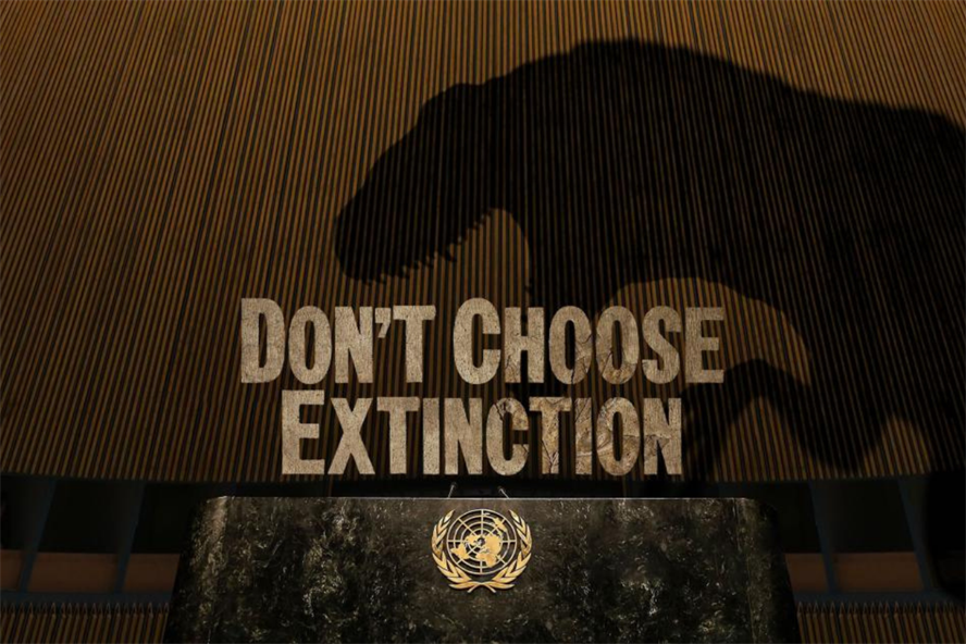 United Nations: 'Don't choose extinction,' a utahraptor warns.