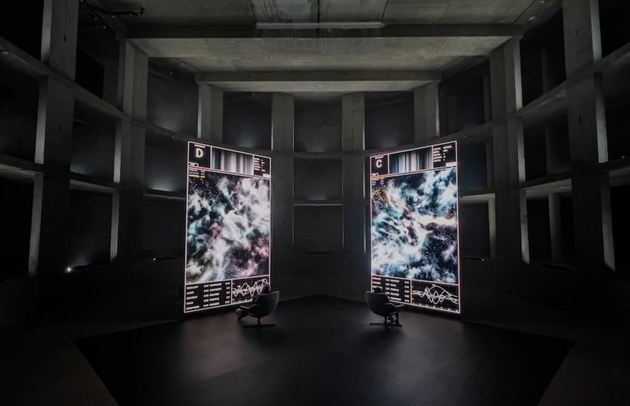 Two people sitting in chairs looking at screens with neural activity