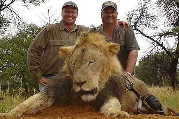Condemned: Walter Palmer (left) poses with a lion he killed on a previous hunting trip (Credit: Rex Shutterstock)