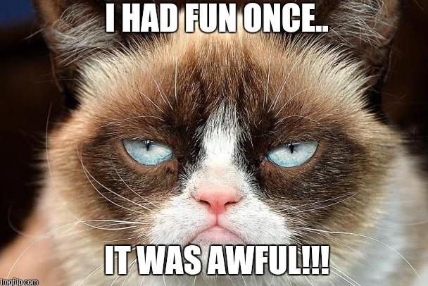 Grumpy Cat won $700k in a lawsuit. What should she spend ...