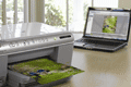 HP: EMEA work to Edelman