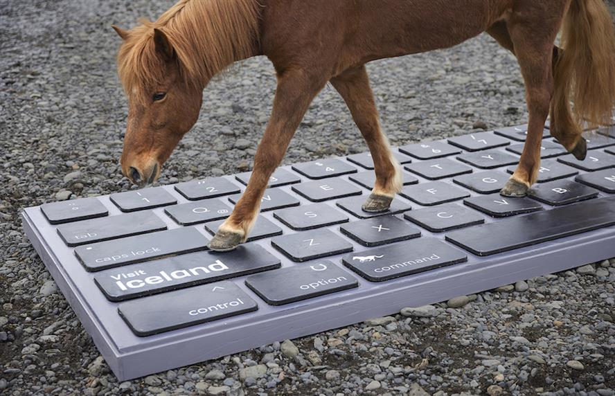 Horse walking on large keyboard with words "Visit Iceland" on shift key