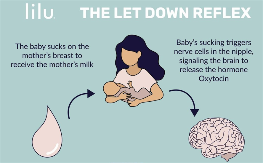 Lilu women's health ad showing clip art of mother breastfeeding child