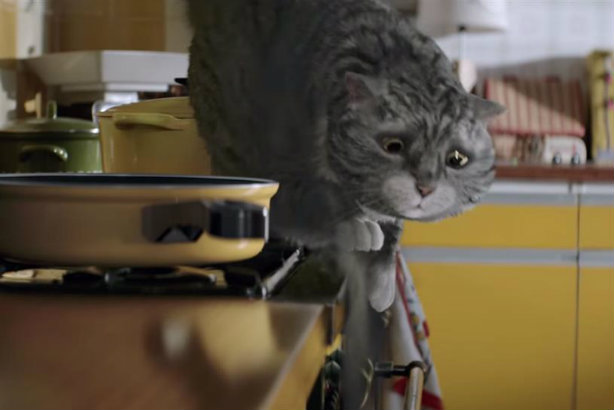 Mog: Judith Kerr's cute cat fronts this year's Sainsbury's Christmas campaign
