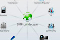 SMP: maps online social networks