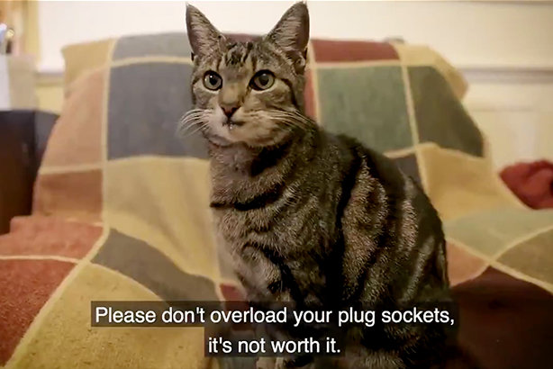 One of the stars of a new Protect Your Pets film from SYFRS