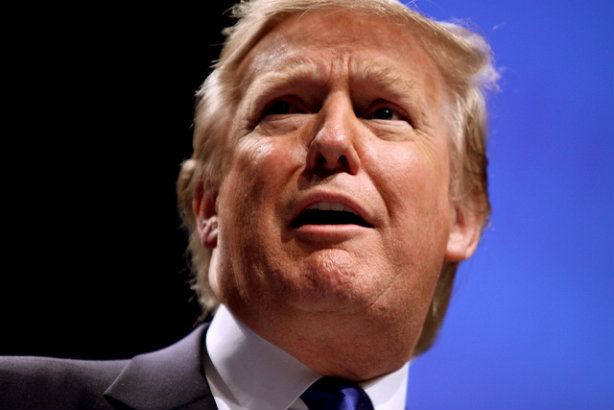 Trump in 2011 (Credit: Gage Skidmore via Flickr)