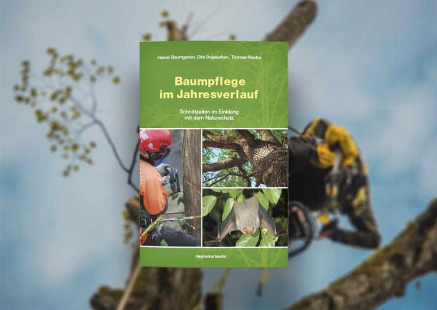 Baumpflege-im-Jahresverlauf_948x672px.jp