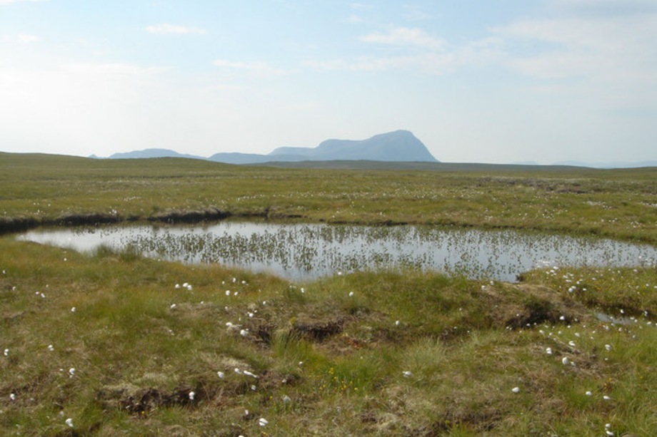 The A’ Mhòine peatlands - image: geograph / David Glass (CC BY-SA 2.0)