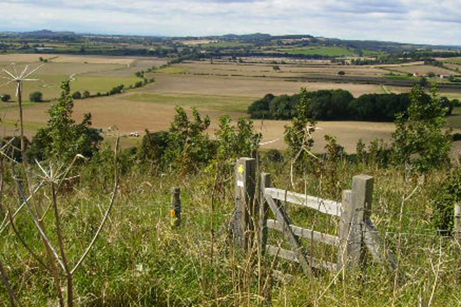 View of the Howardian Hills AONB (Pic: cc-by-sa/2.0 - © Phil Catterall - geograph.org.uk/p/540667)