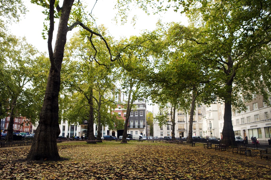 London's Berkeley Square. Pic: Getty Images