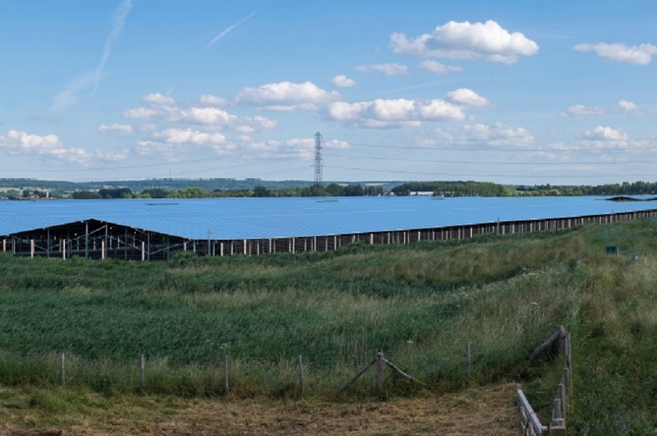 A visualisation of the Cleve Hill solar farm in Kent. Pic: Solar Trade Association
