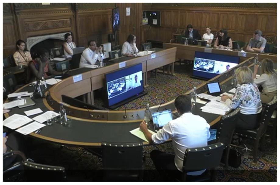 The Levelling Up, Housing and Communities Committee (Pic: Parliamentlive.tv)