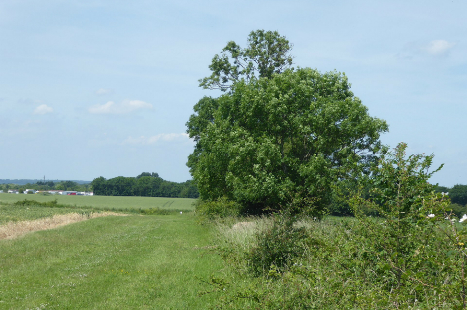 Khan rebuked by inspectors over London Plan's hardline green belt stance