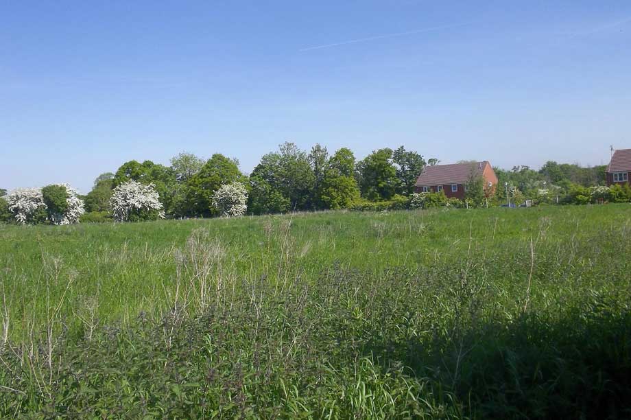 200-002-835 (Image Credit: Mosaic Town Planning)
