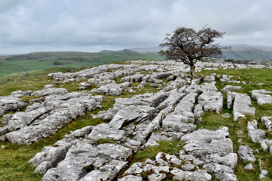 Yorkshire Dales: 'more flexible' local plan in place 