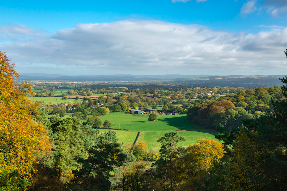 Cheshire East ditches green belt land allocations from draft plan