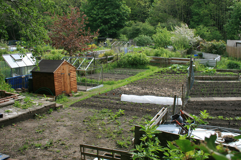 Allotments: campaigners fighting to save Watford site from development 