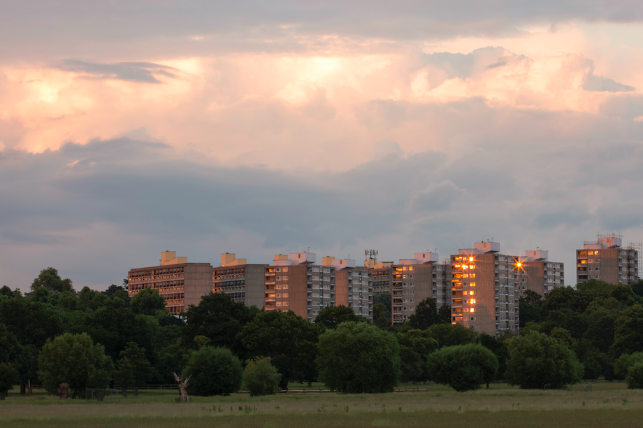 View of Alton Estate in Roehampton from Richmond Park (Pic: Getty)