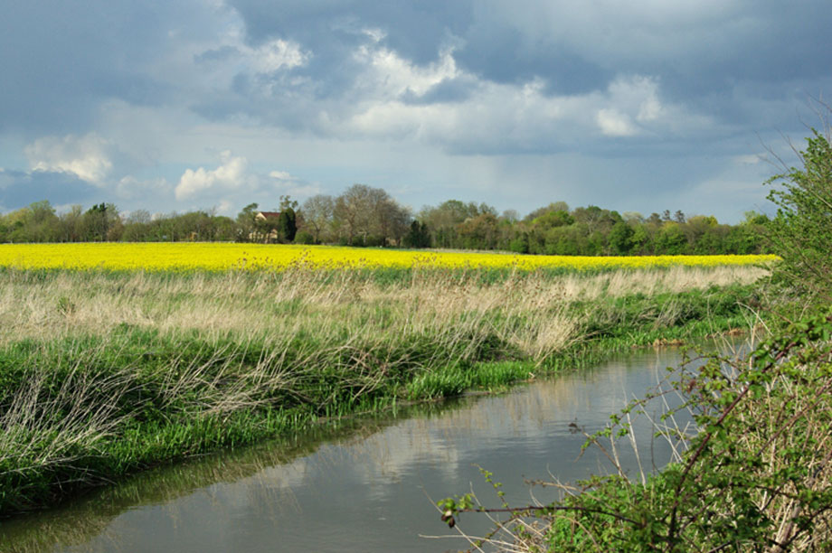 Cambridgeshire: inspectors flag local plans concern