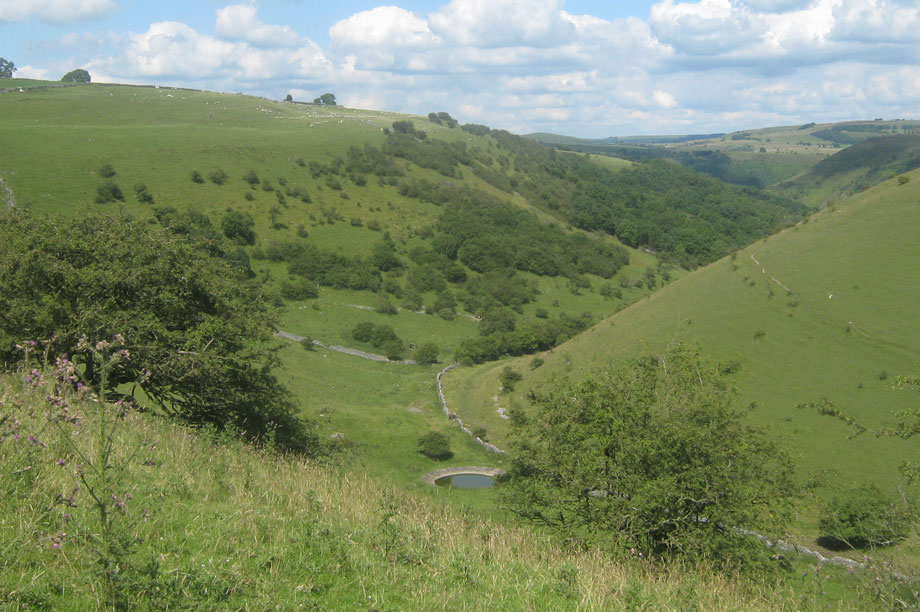 Derbyshire Dales: draft local plan withdrawn