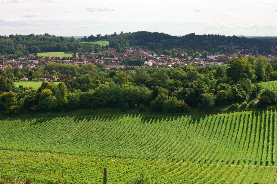 View over the town of Dorking, Surrey (Pic: Getty)