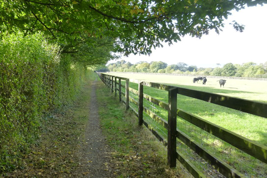 A public footpath alongside the development site (pic: cc-by-sa/2.0 - © Ron Lee - geograph.org.uk/p/5155831)
