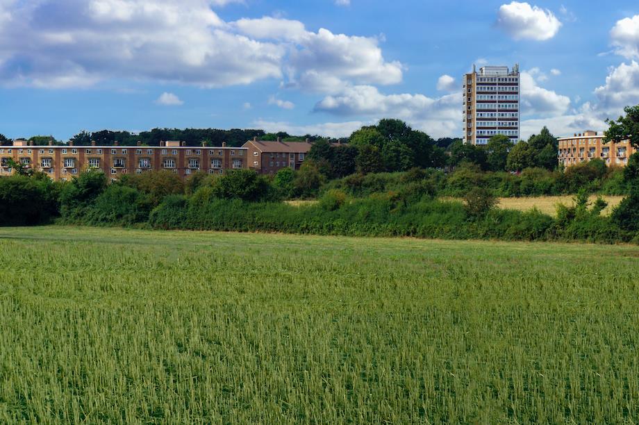 Fields outside Harlow, Essex, where the highest proportion of green belt was released (Pic: Getty)