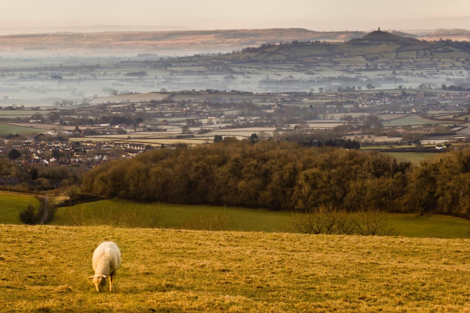 View across the Somerest Levels towards Glastonbury - image: Stewart Black / Flickr (CC BY 2.0)