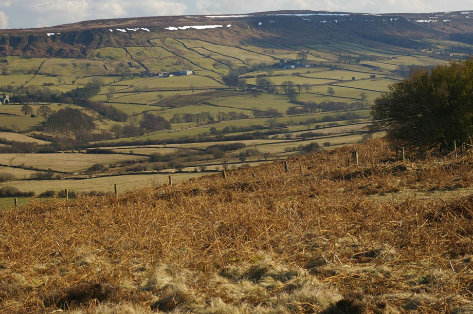 North York Moors: Park authority criticised by ombudsman over way it introduced enforcement charging scheme