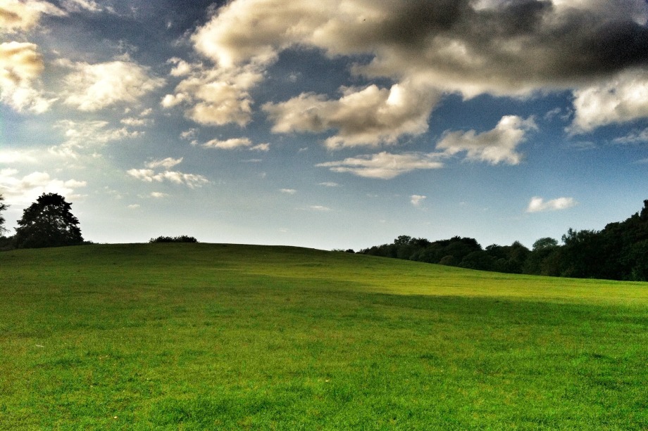 Peri-urban green space - image: Andy B / Flickr (CC BY-ND 2.0)