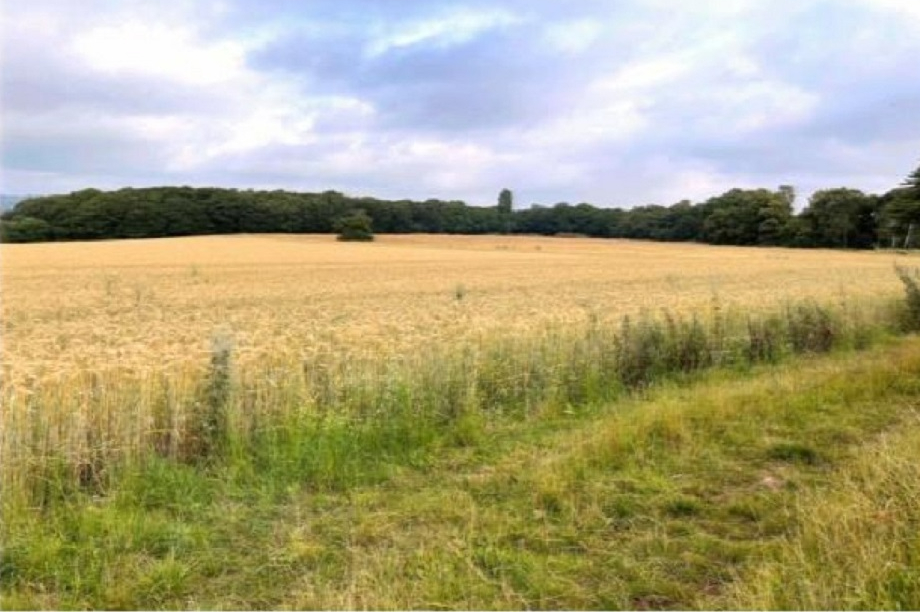 The quarry site. Pic: Worcestershire County Council