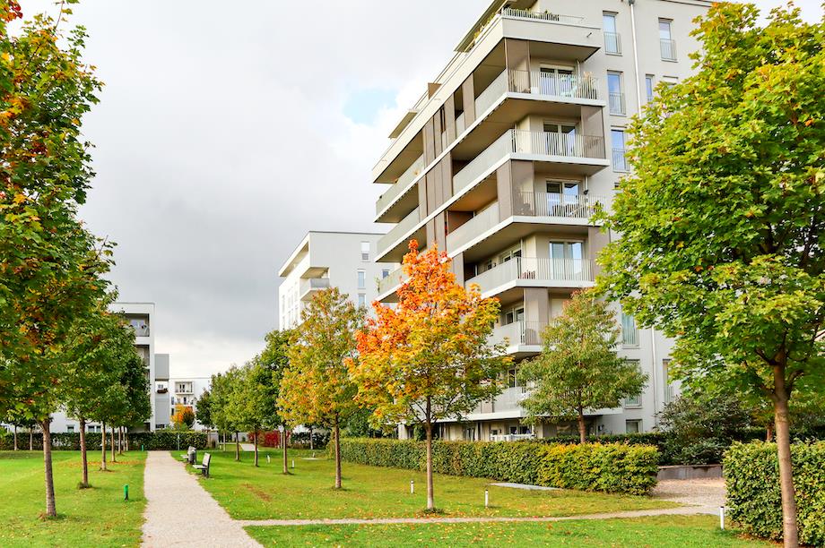 The updated NPPF requires that streets in new developments are tree-lined (Pic: Getty)