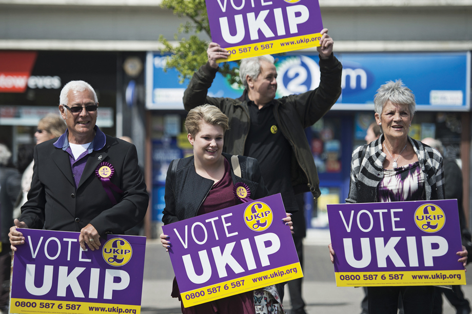 Local elections: UKIP made major gains in Essex on an anti-development ticket (pic REX FEATURES)